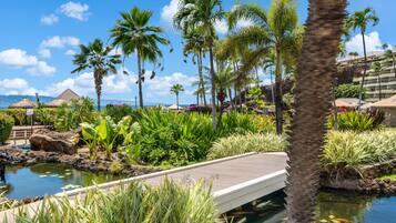 Apartment | 1 bedroom, Internet