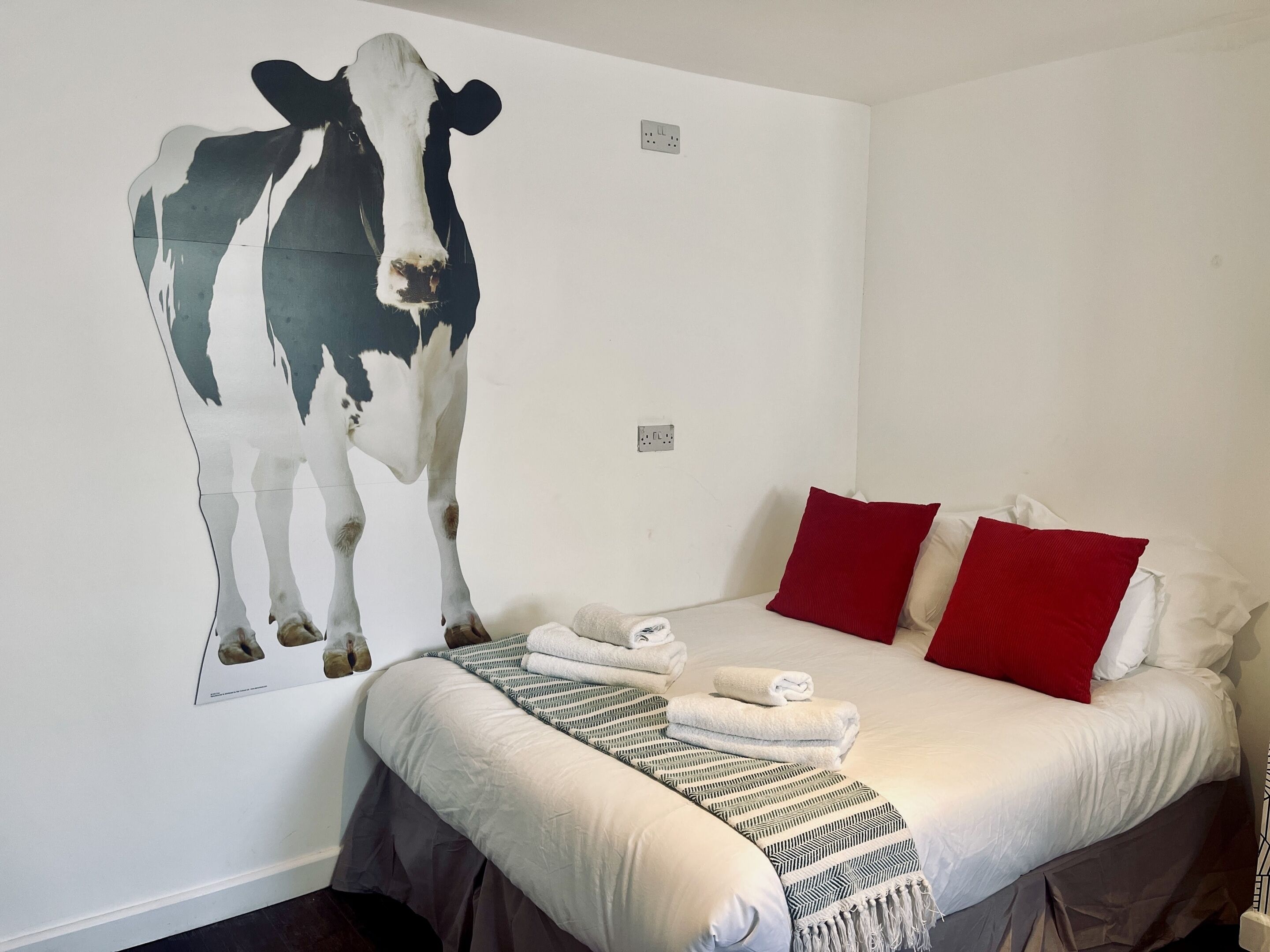A bedroom with a bed, red and white pillows, a white wall, and a large cow painting.