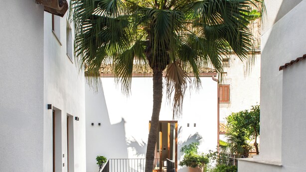 Ein schmaler Innenhof mit einer Palme, einer Treppe und weißen Wänden.