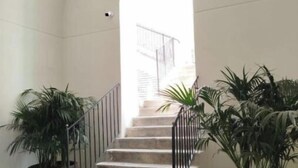 Una escalera con una pared blanca, barandilla negra y plantas en macetas a ambos lados.