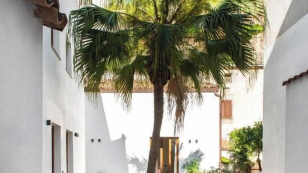 Un patio estrecho con una palmera, paredes blancas y una escalera que sube a un nivel superior.