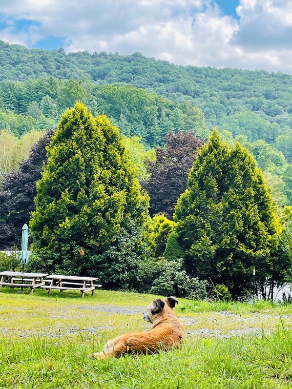 屋外ダイニングエリア