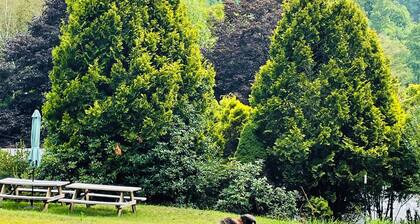 Charming cabin #2 in charming Bakersville