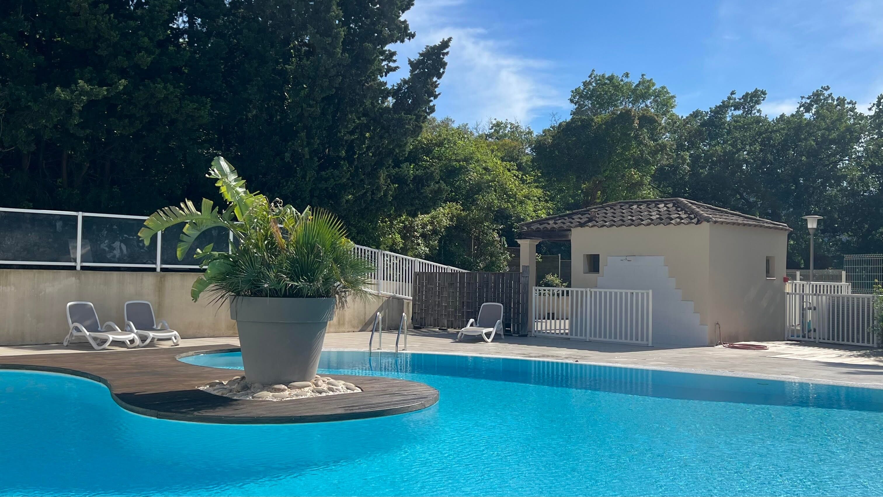 A swimming pool with lounge chairs, a small gazebo, and a large potted plant.