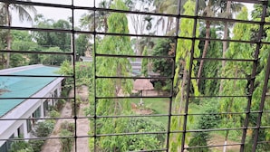 Une vue à travers une clôture métallique d’un jardin luxuriant, avec une structure à toit de chaume, un sentier et un bâtiment doté d’un toit végétalisé.