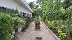 Un sentier bordé d’une végétation luxuriante et un bâtiment blanc doté de nombreuses fenêtres.