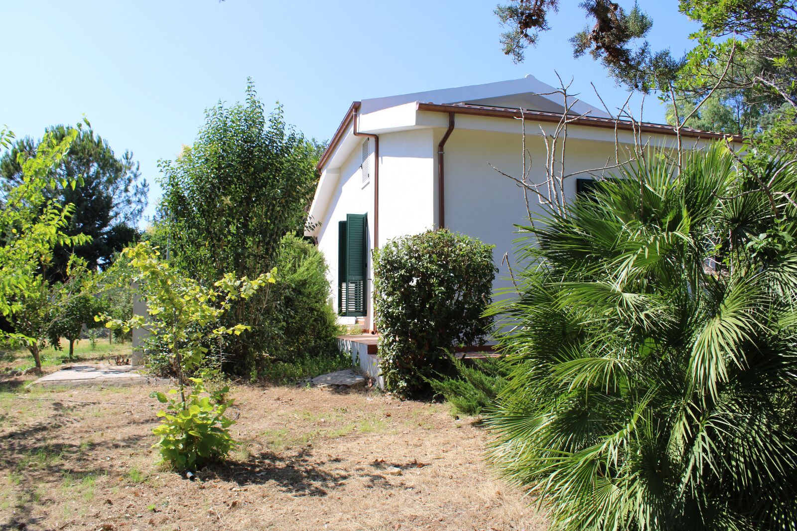 A single-story building with a sloped roof, surrounded by various trees and shrubs.
