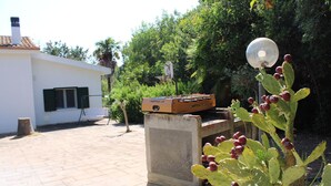 A patio area with a foosball table, a cactus plant, and a white building with a tiled roof.