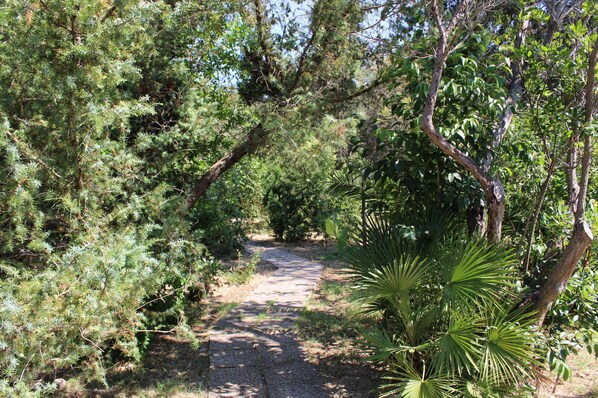 Overnatningsstedets område