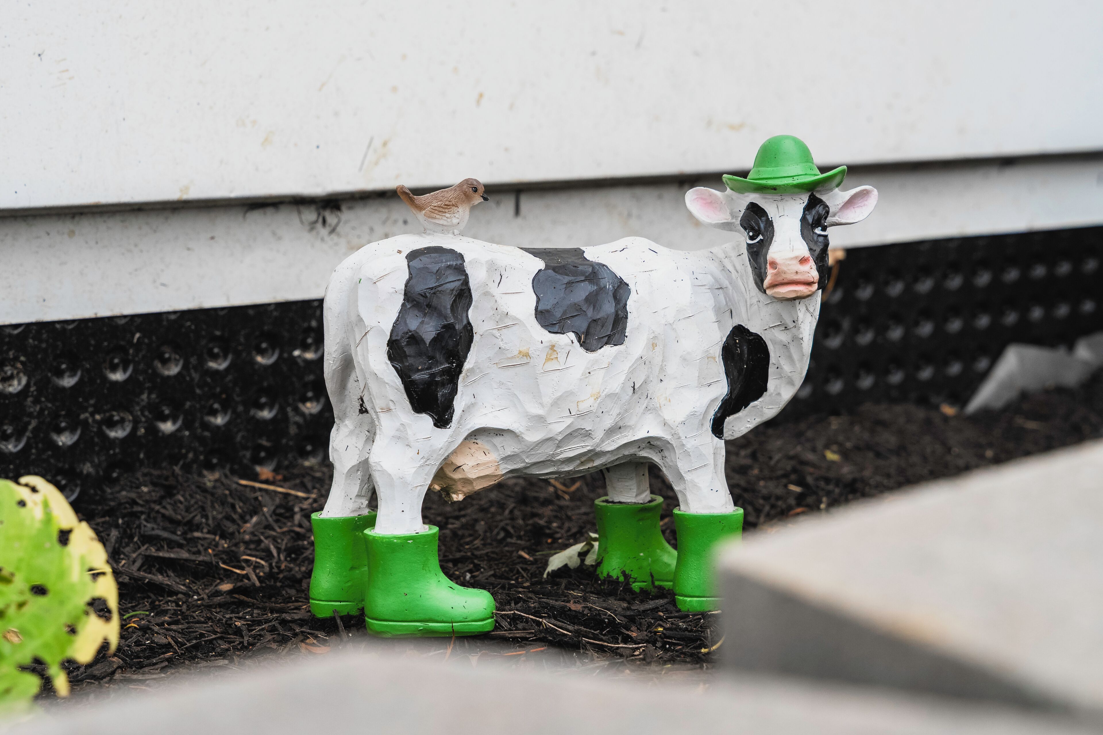 Una estàtua decorativa de vaca portant un barret verd i botes, col·locada sobre una superfície amb un ocell a prop.