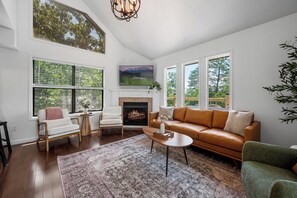 Smart TV, fireplace, books, video library