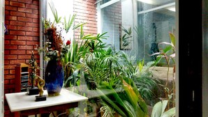 Una habitació amb paret de maó, taula blanca i diverses plantes en testos.