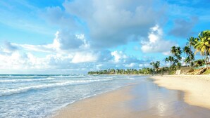 Uma praia com céu claro, palmeiras e ondas do oceano.