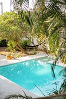 Una piscina rodeada de abundante vegetación y plantas en macetas.