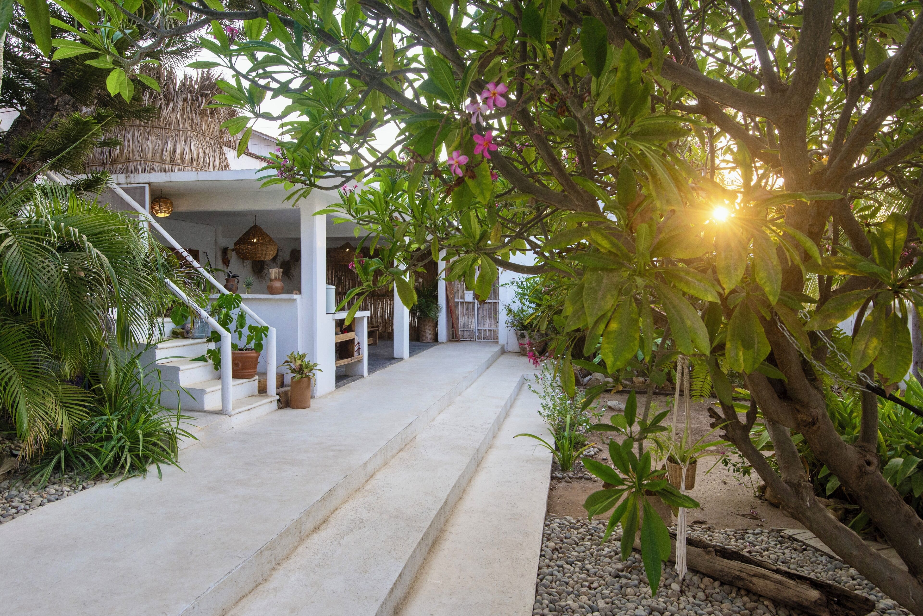 A pathway leading to a white building with a thatched roof, surrounded by lush greenery and potted plants.