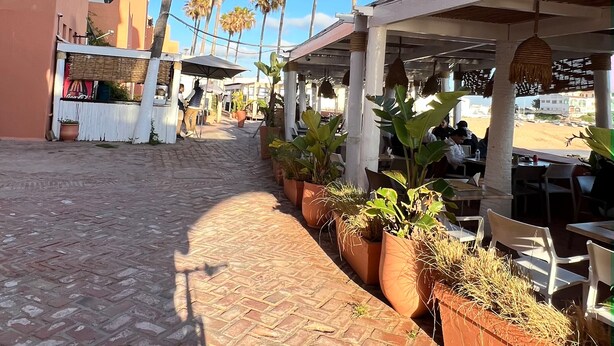 Un chemin pavé, bordé de palmiers et de plantes en pot, mène à un espace extérieur aménagé avec des tables et des chaises, protégé par un auvent.