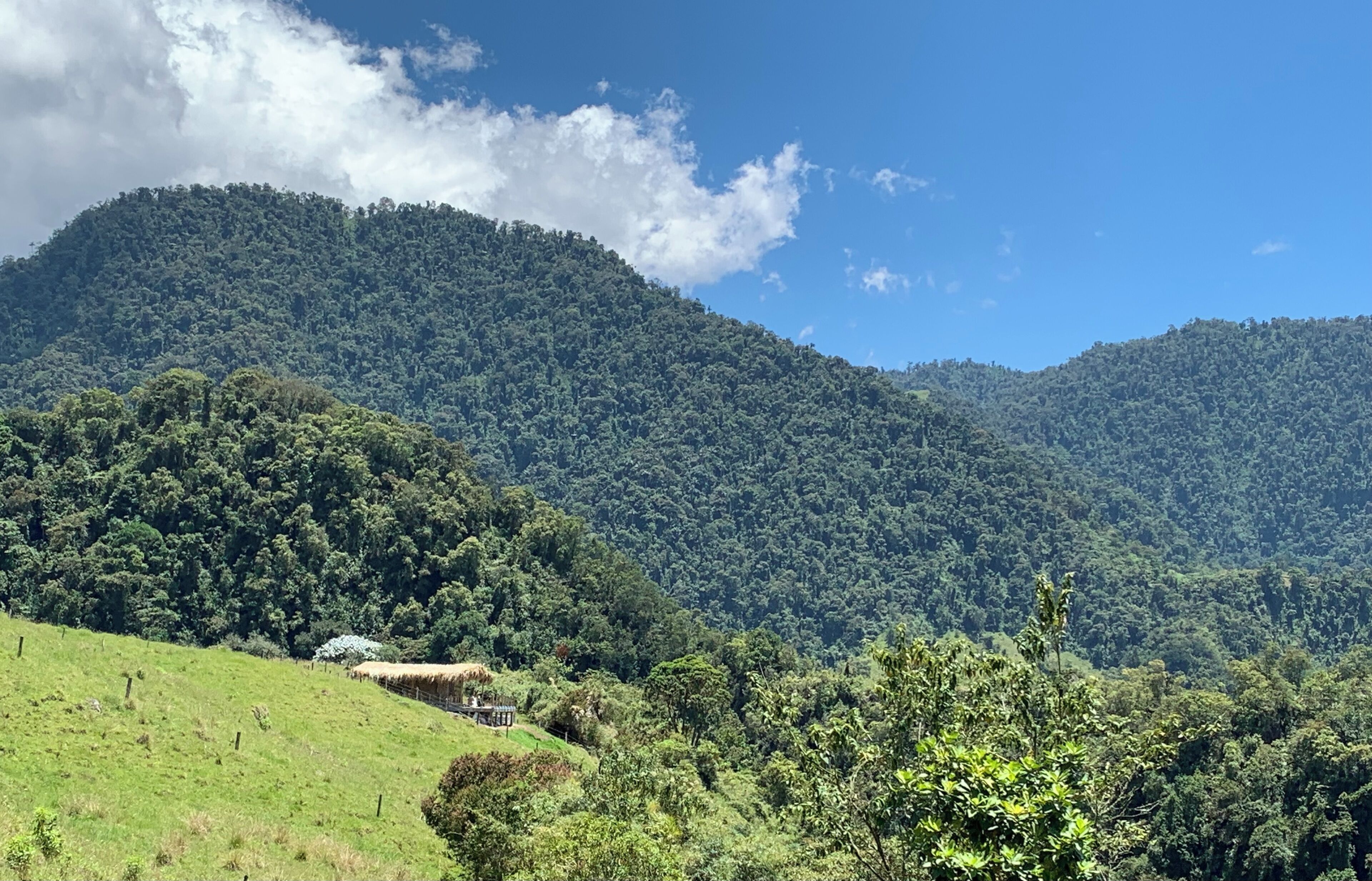 A lush green landscape with a hill and a thatched-roof structure.