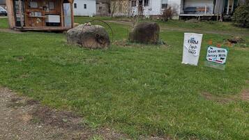 Enceinte de lâhĂ©bergement