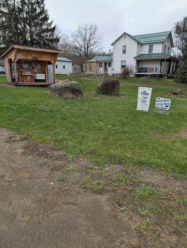 Un cadre rural avec une structure en bois portant l’inscription « OUVERT », un grand rocher et des panneaux publicitaires pour des œufs frais de la ferme et du lait de chèvre.