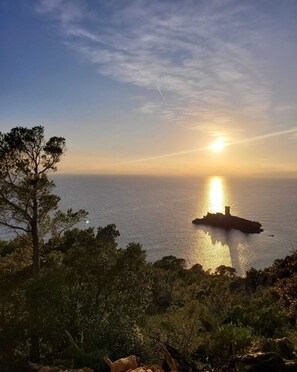 Imagen sin descripción, 2 de 12, botón