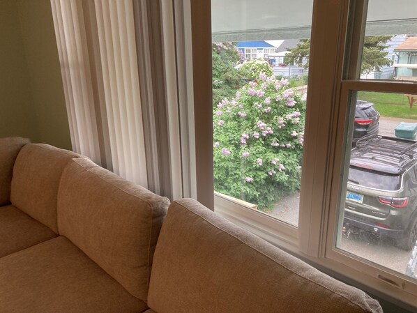 Una Smart TV, una chimenea