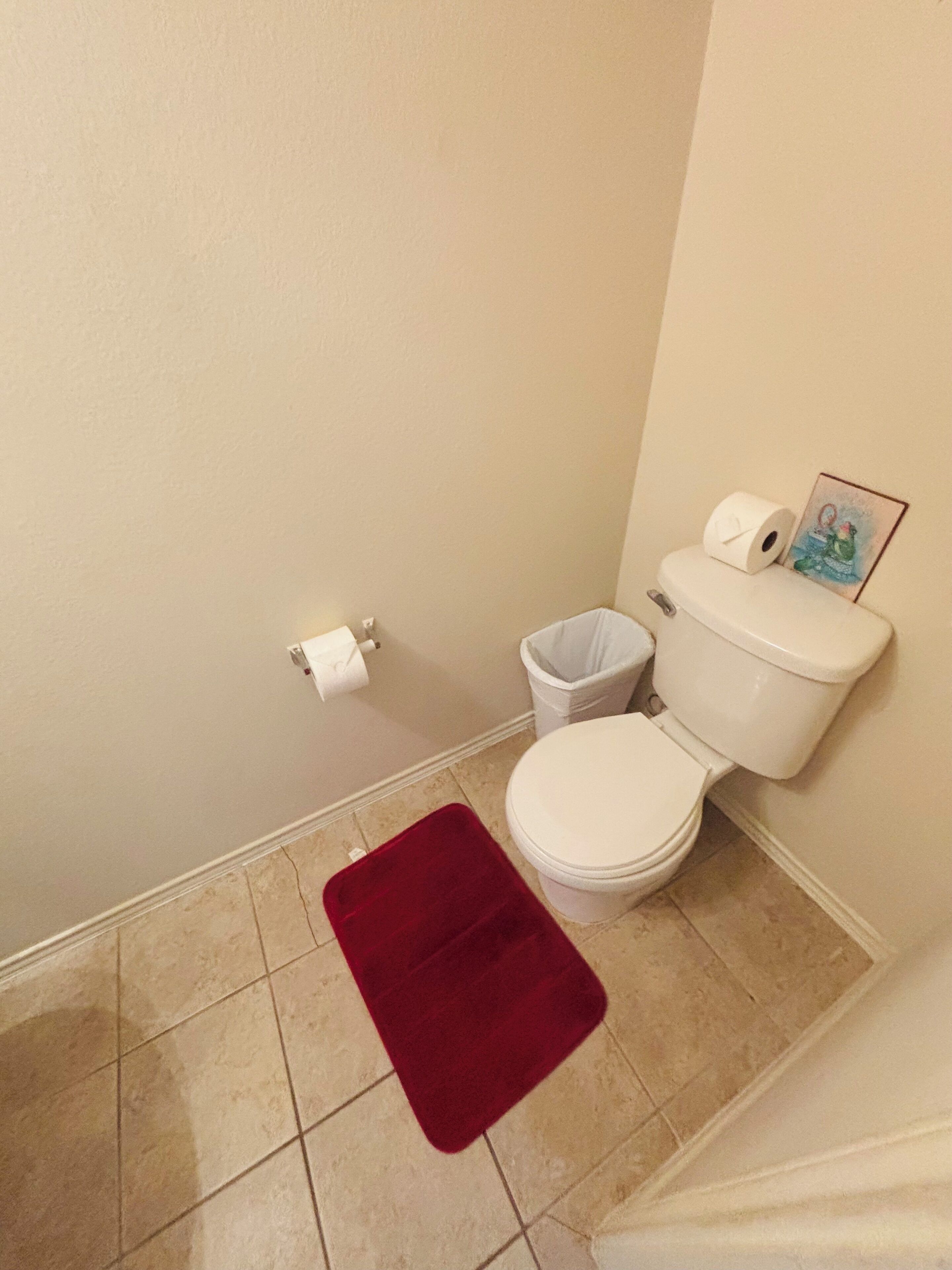 Een kleine badkamer met een toilet, een prullenbak en een rode badmat op de vloer.