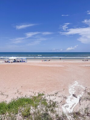 Beach - Beautiful Condo in Oceanfront Ormond Beach Complex (Ormond Beach)