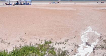 Beautiful Condo in Oceanfront Ormond Beach Complex