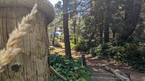 Un área boscosa con un sendero de tierra, bancos de madera y una estructura rústica de madera.