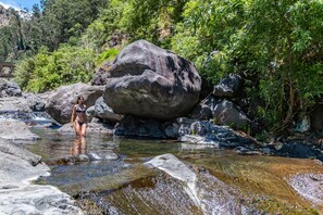 Apartamento | 2 dormitorios