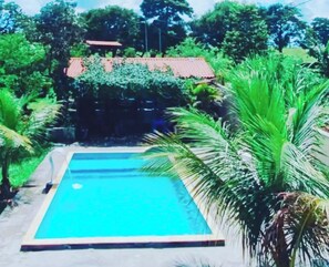 A rectangular swimming pool with a tiled deck, surrounded by lush greenery and a building with a red roof in the background.