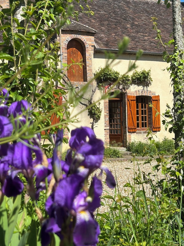 Detalle exterior