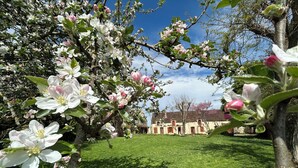 A garden with blooming trees and a building in the background. - Entire vacation home in Burgundy style: Longère des Daubénys (Precy-sur-Vrin)