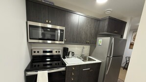 A modern kitchen with stainless steel appliances, dark wood cabinets, and a gray countertop. - New suite in a great location. Central for shopping, restaurants and commuting. (Regina)