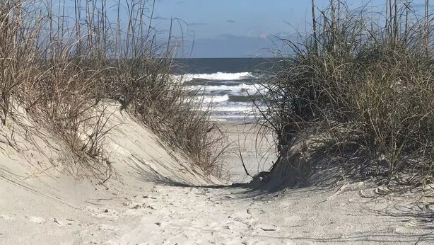 Ein Sandweg am Strand, der zum Meer führt, umgeben von trockenem Gras und Dünen.