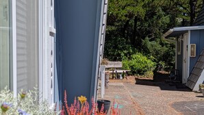Edifici amb carrerada de grava i jardí ple de plantes i flors diverses.
