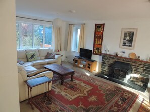 Smart TV, fireplace, books