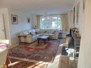 Smart TV, fireplace, books