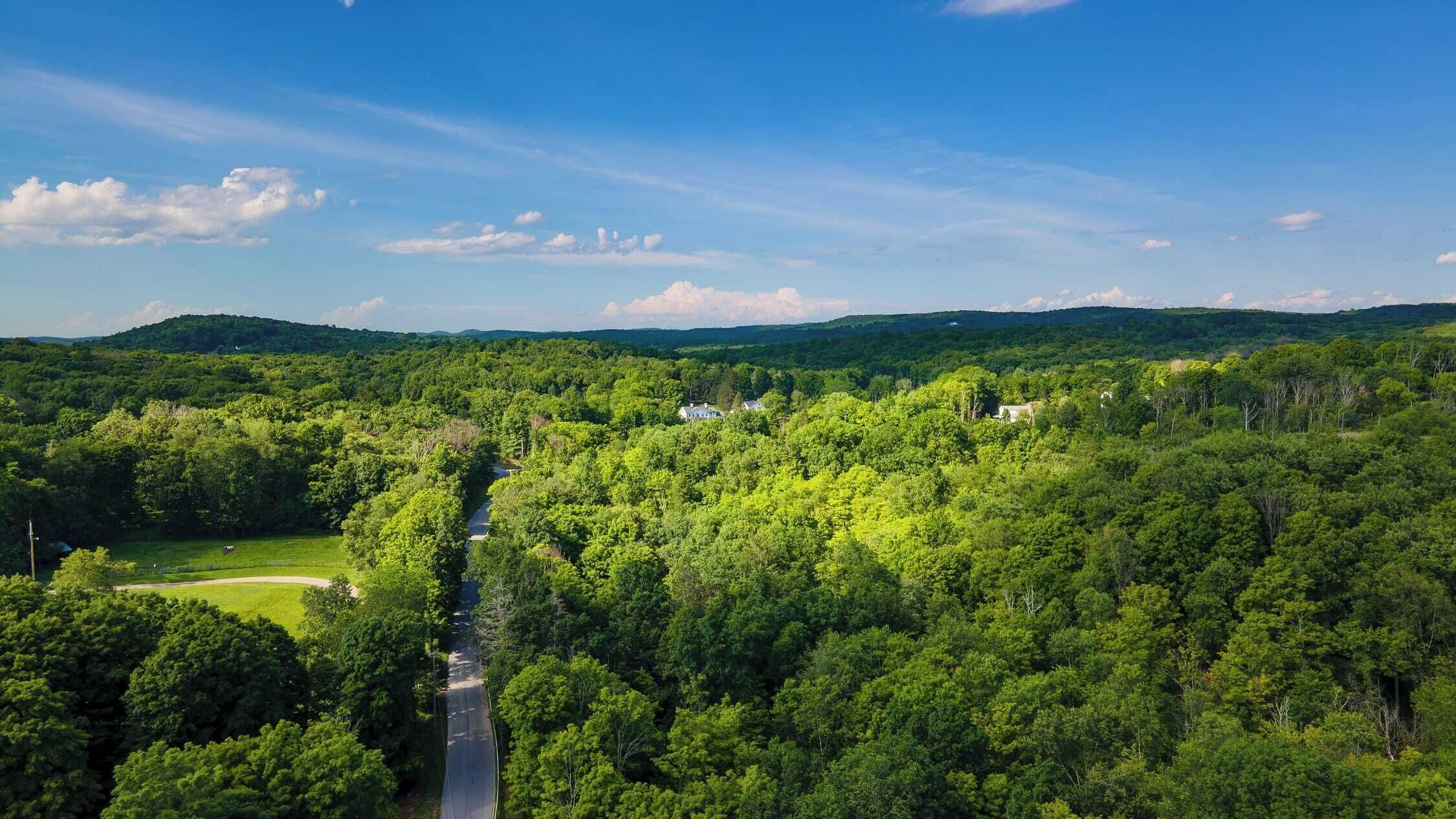 A lush green landscape with a road cutting through a forest, leading to a cluster of buildings.