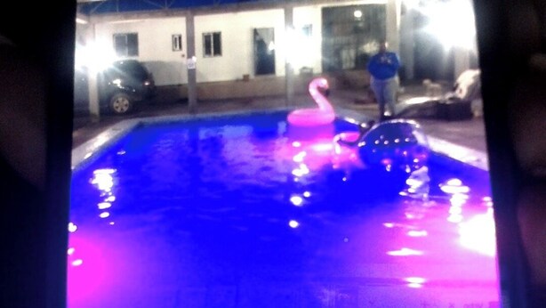 A swimming pool with a pink flamingo decoration and a small inflatable toy. - Cameroon Comfort 2-bedroom apartment in peaceful Yassa with WiFi, AC, EspaceVert (Yassa)