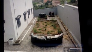 A rooftop with a small garden area, a white wall with windows, and a metal staircase. - Cameroon Comfort 2-bedroom apartment in peaceful Yassa with WiFi, AC, EspaceVert (Yassa)