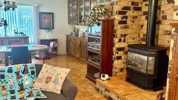 TV connectée, cheminée, lecteur de DVD, livres