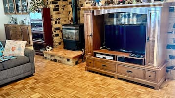 TV connectée, cheminée, lecteur de DVD, livres