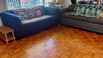 TV connectée, cheminée, lecteur de DVD, livres