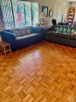 Smart TV, fireplace, DVD player, books