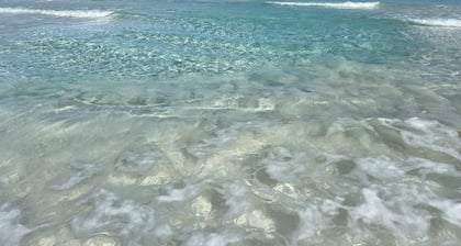 Charming Suite with updated Living Room, king bed, WiFi, and a Fresh Water Pool.