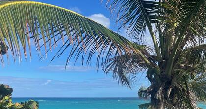 Charming Jr Suite with Living Room, WiFi, and a Fresh Water Pool at Valentines.