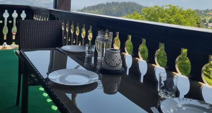 Apartment Le balcon du Mont Blanc