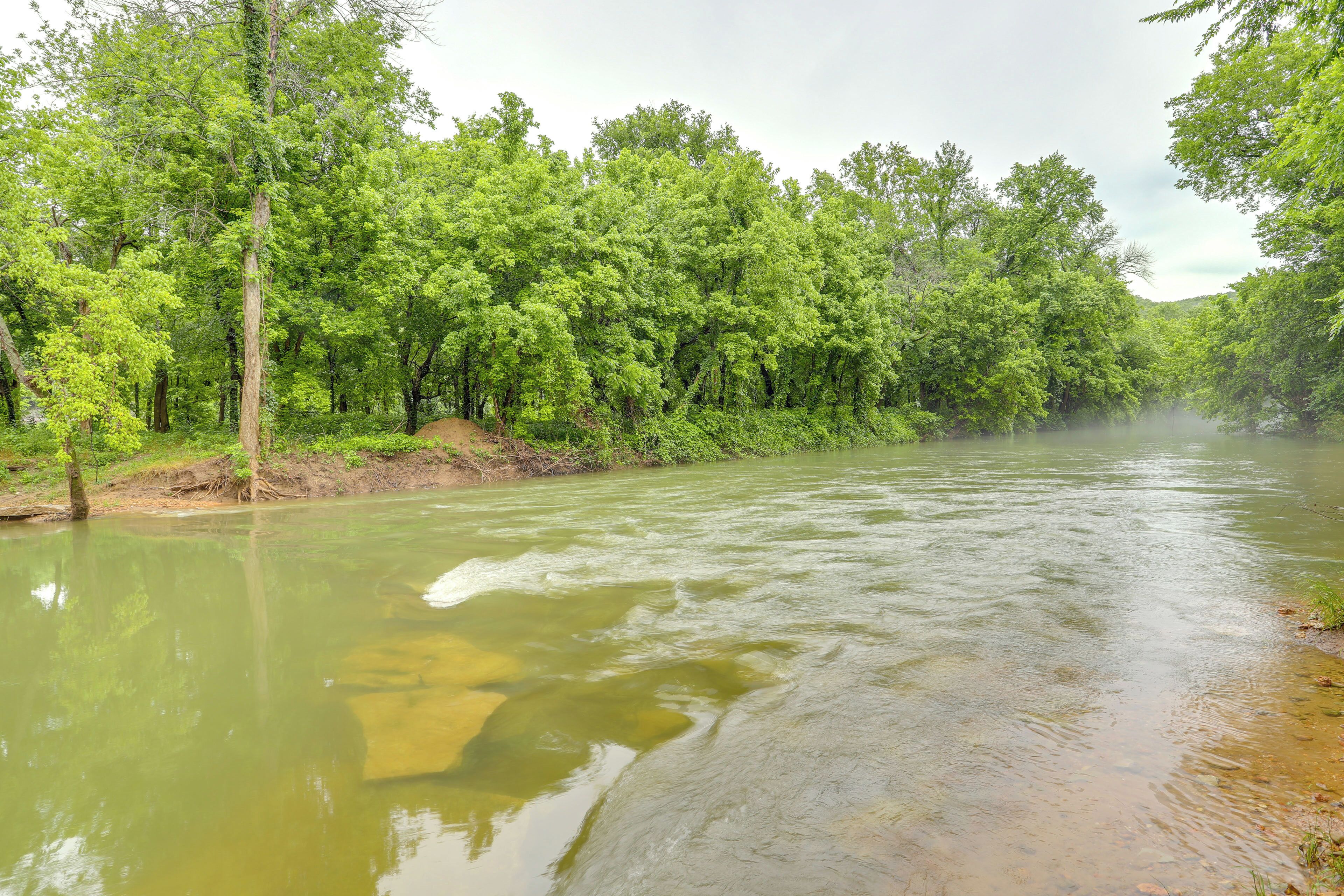 A river surrounded by dense green trees.