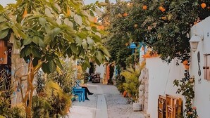 A cobblestone alley with potted plants and outdoor seating.